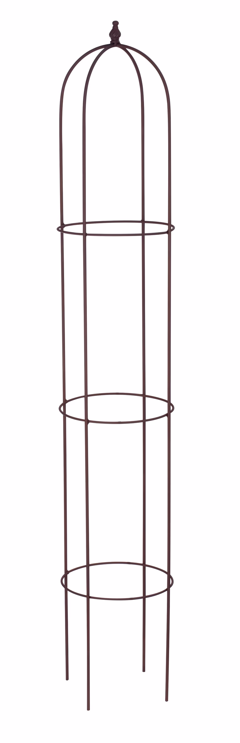 Espalier obelisk