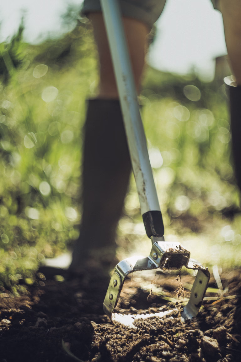 Xact Push-Pull Weeder