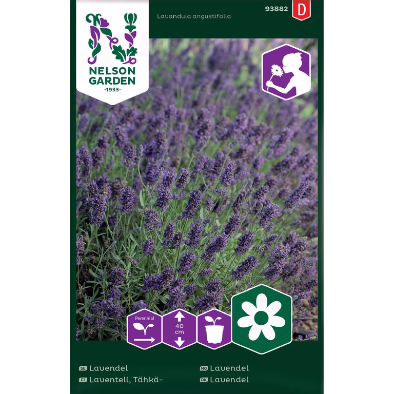 Lavendel