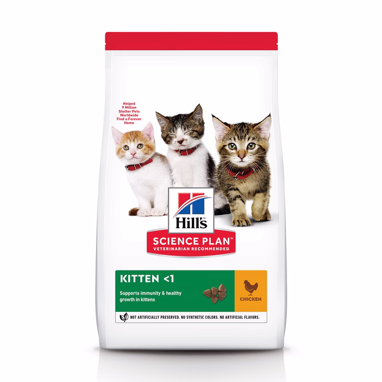 Hill's Kitten Kylling
