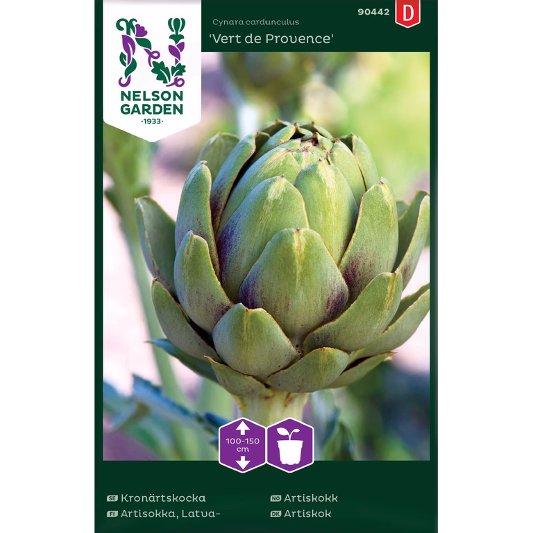 Artiskokk 'Vert de Provence'