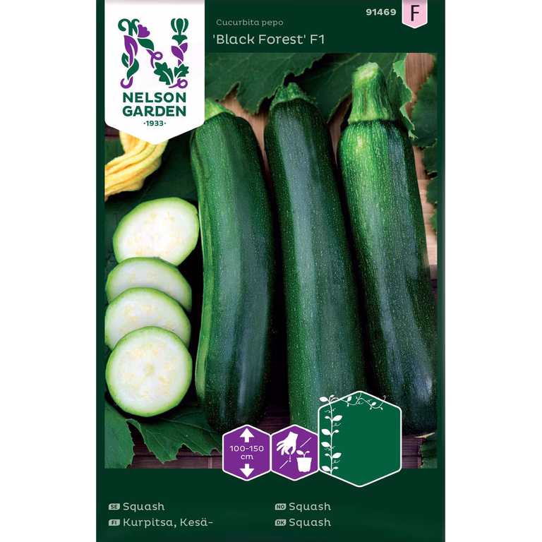 Squash, Kläng-, Black Forest F