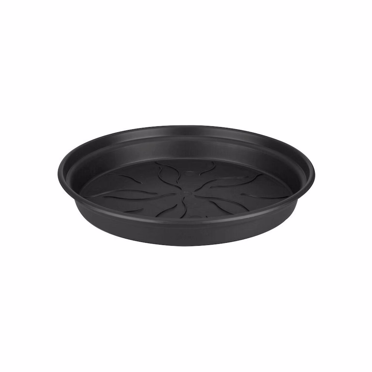 Green basics saucer D34 black