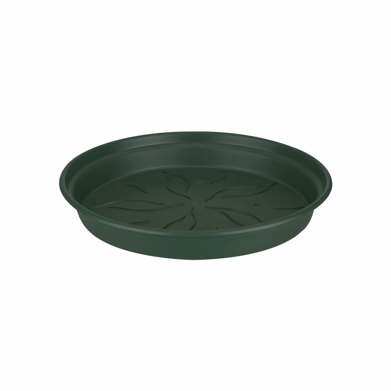 Sauser Green basics 
