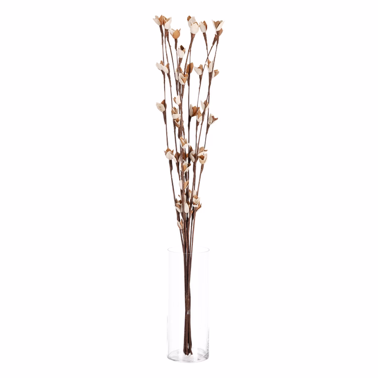 Papirblomst Lilje