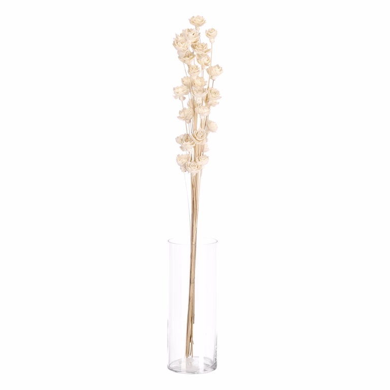 Papirblomst Vannlilje