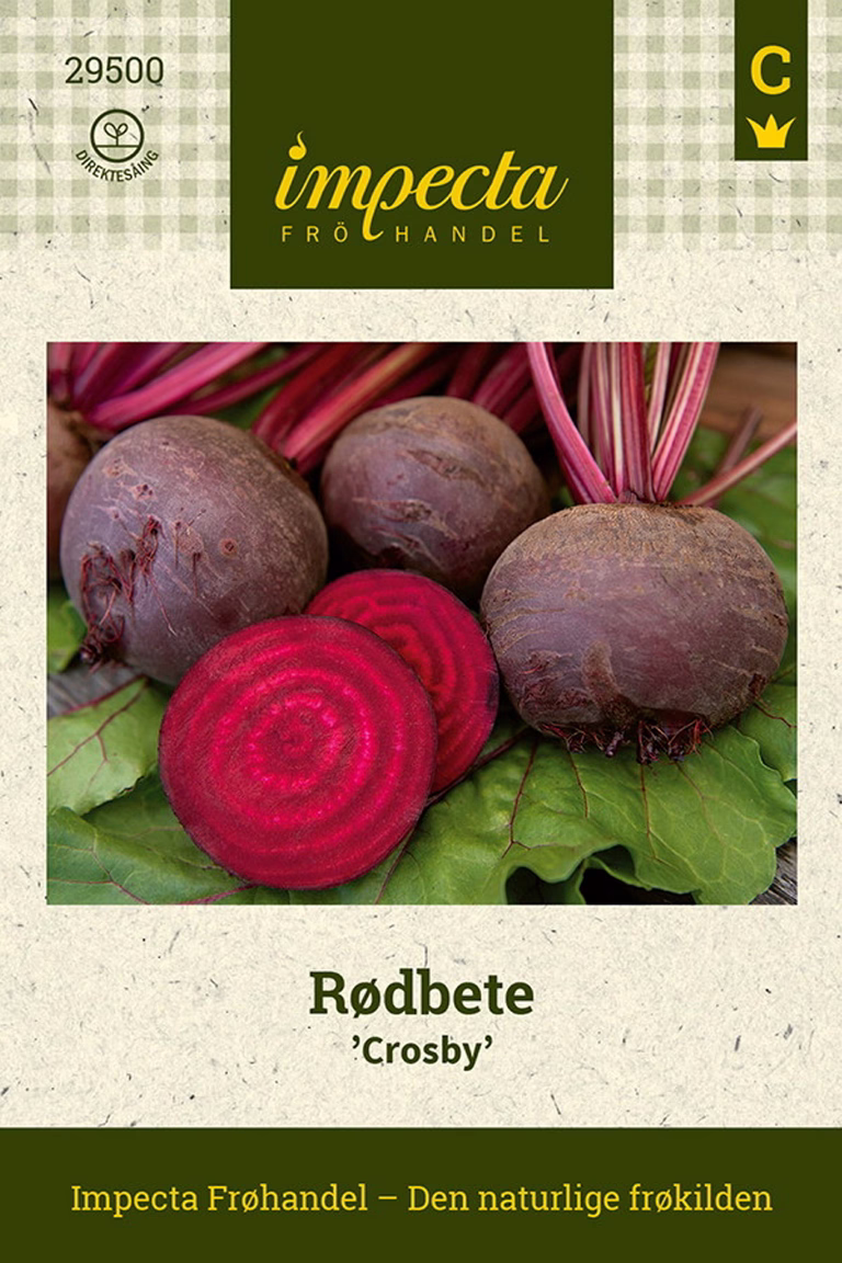 Beta vulgaris 'Crosby'