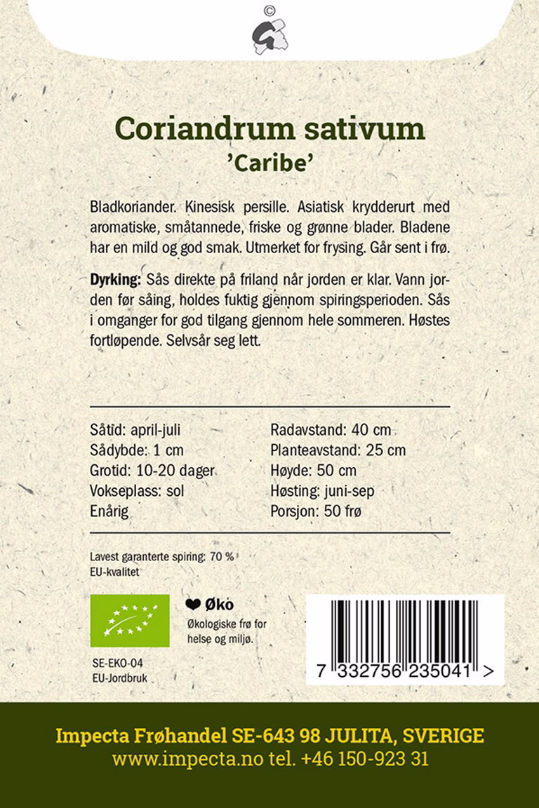 Koriander 'Caribe'