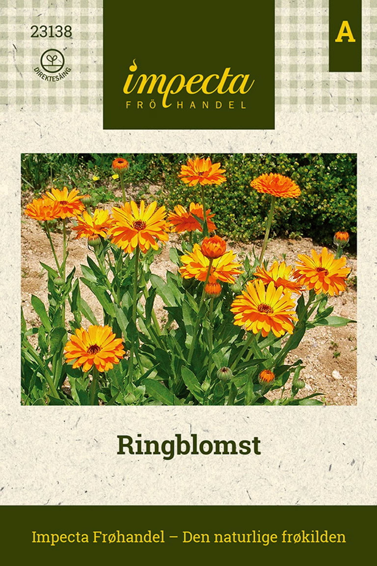 Calendula officinalis