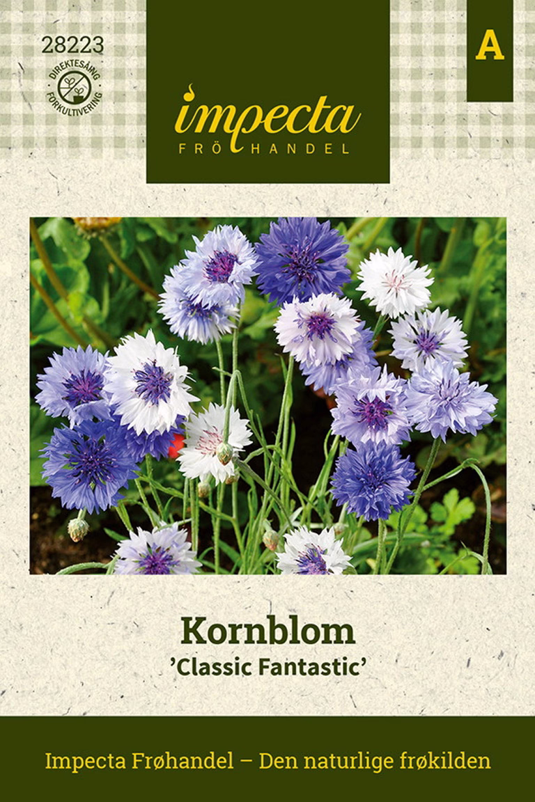 Centaurea cyanus 'Classic Fantastic'