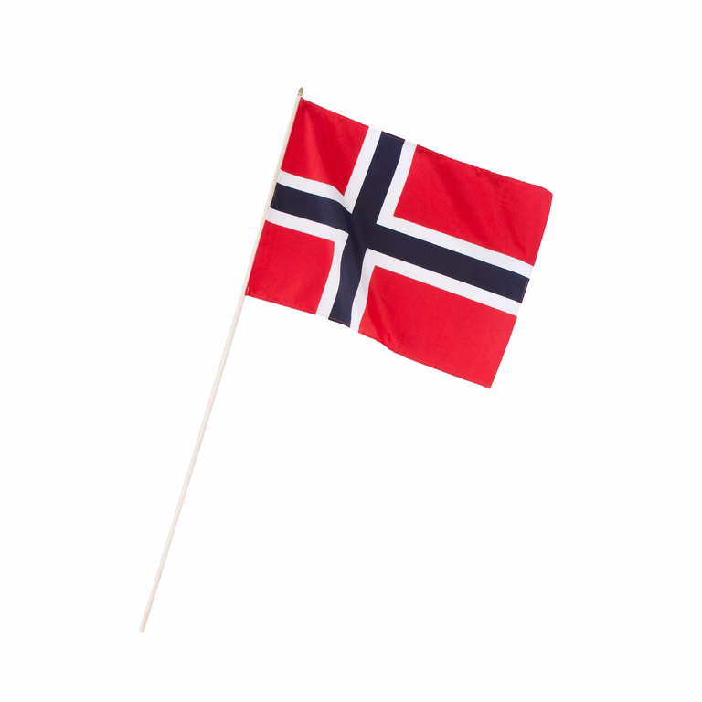 Skoleflagg