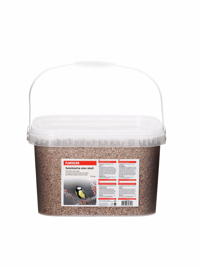 Fuglemat solsikkefrø uten skall