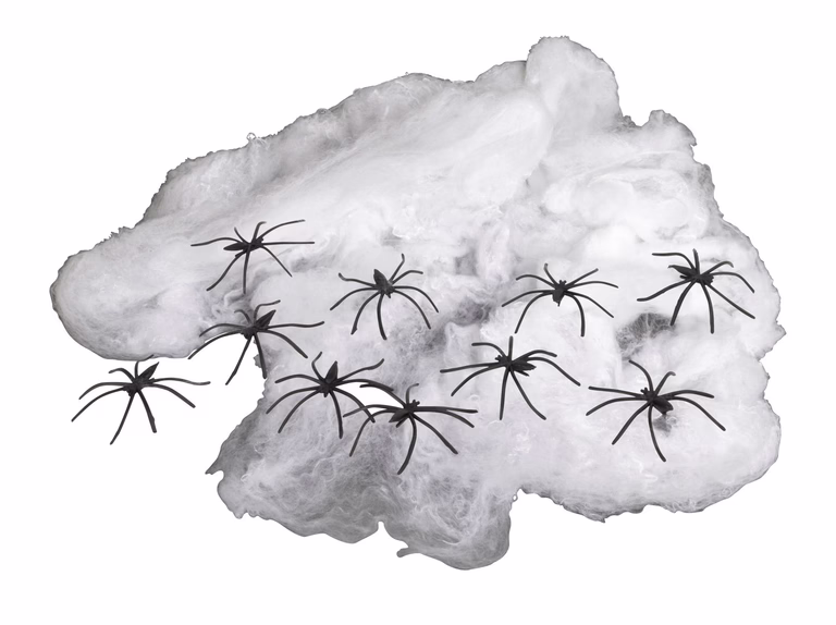 https://media.crystallize.com/pltn/24/9/22/133/@768/359_d584b2b9-a447-4e36-90fd-23008c3e04b0.avif