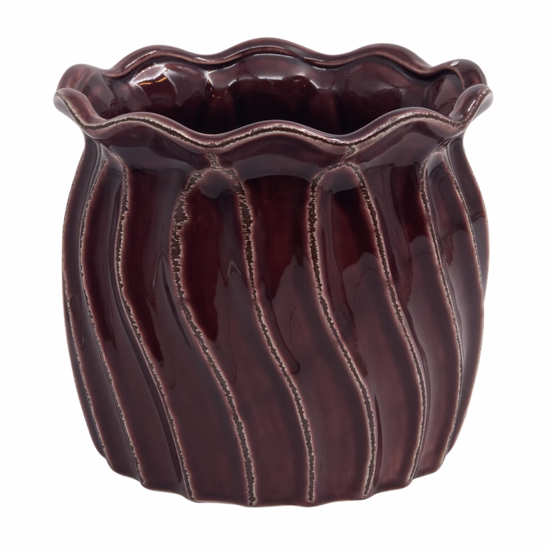 Potte Plum