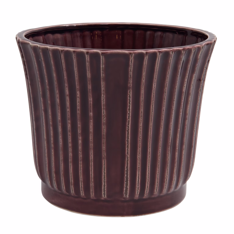 Potte Plum