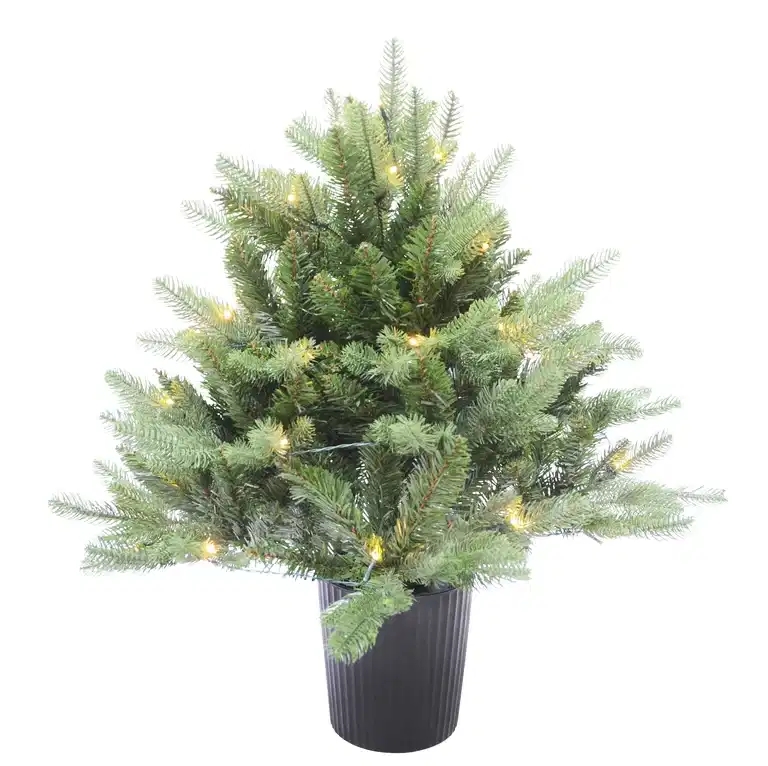 Christmas Tree with Lights