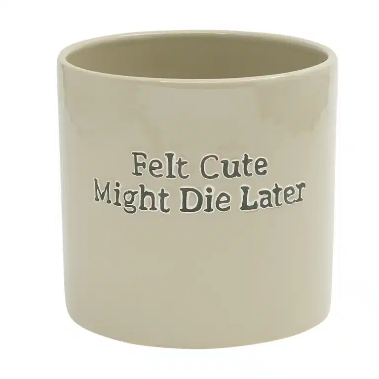 Potte Felt Cute Might Die Later 