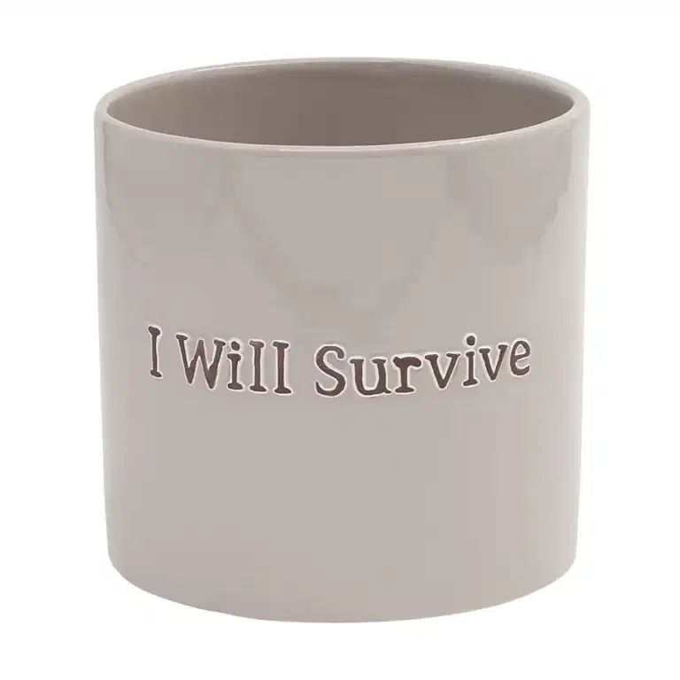 Potte I Will Survive