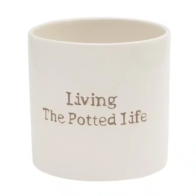 Potte Living The Potted Life