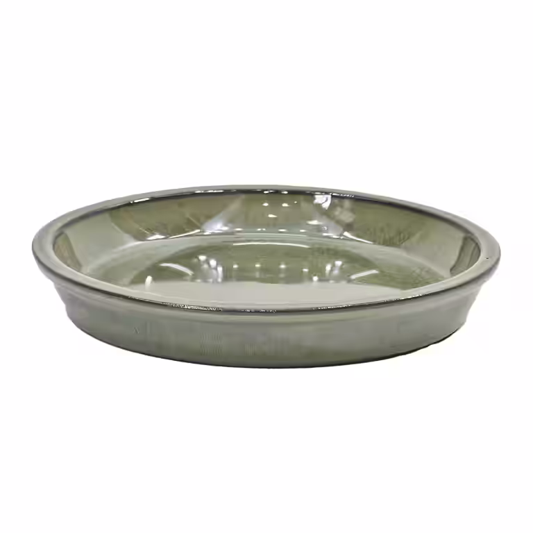 Saucer Freya