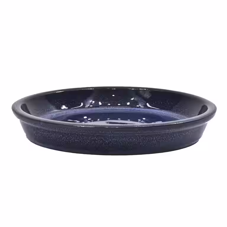 Saucer Freya