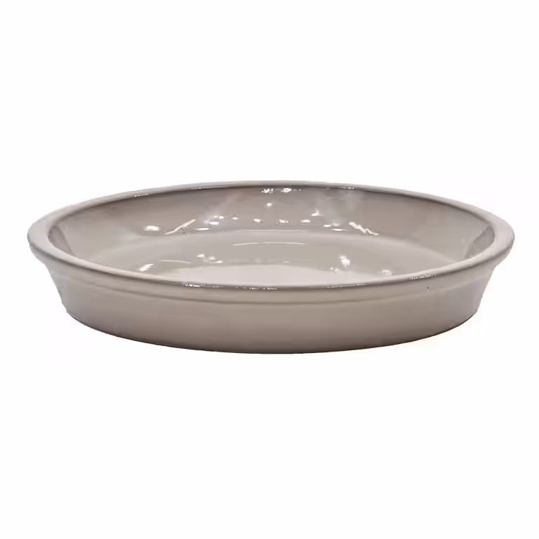 Saucer Freya