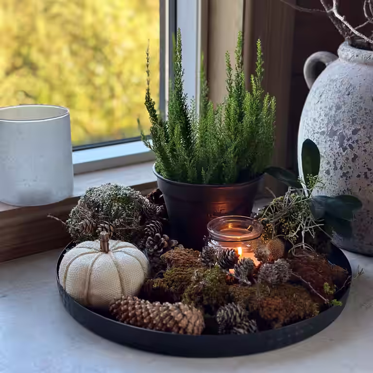 Novent – kos og hygge mens vi venter på advent 