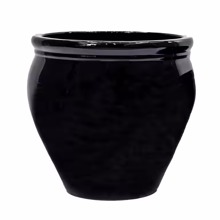 Pot Lise