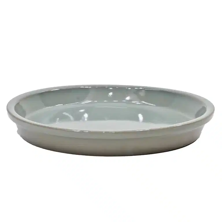 Saucer Nordica 
