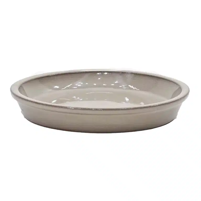 Saucer Nordica