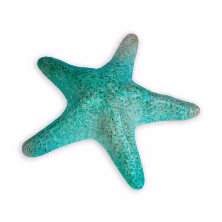 Starfish Coral 