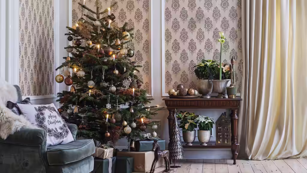 Slik lykkes du med juletreet – tips og råd om stell 