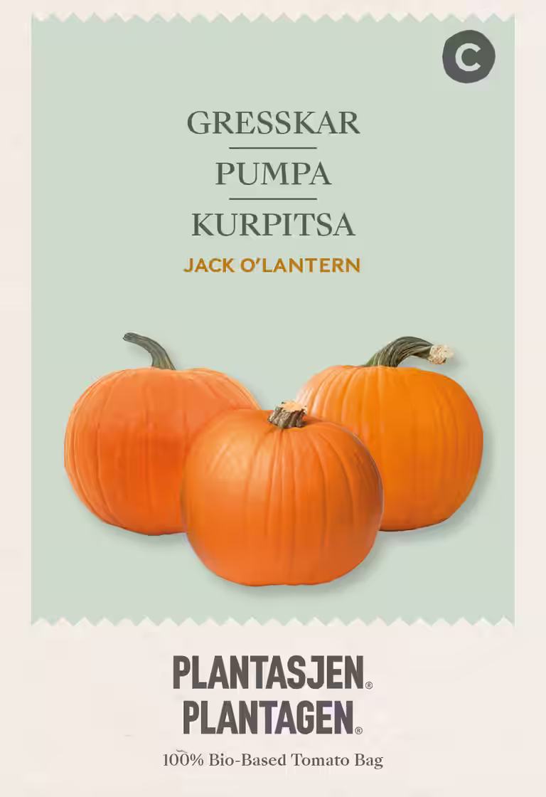 Gresskar 'Jack o'lantern'