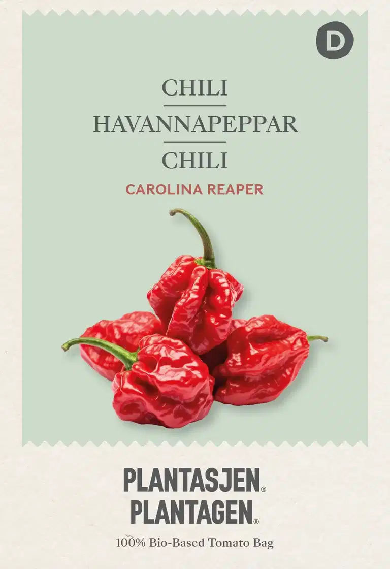 Chili 'Carolina Reaper'