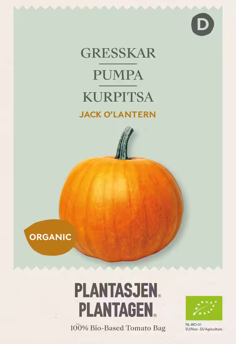 Gresskar 'Jack O’lantern'