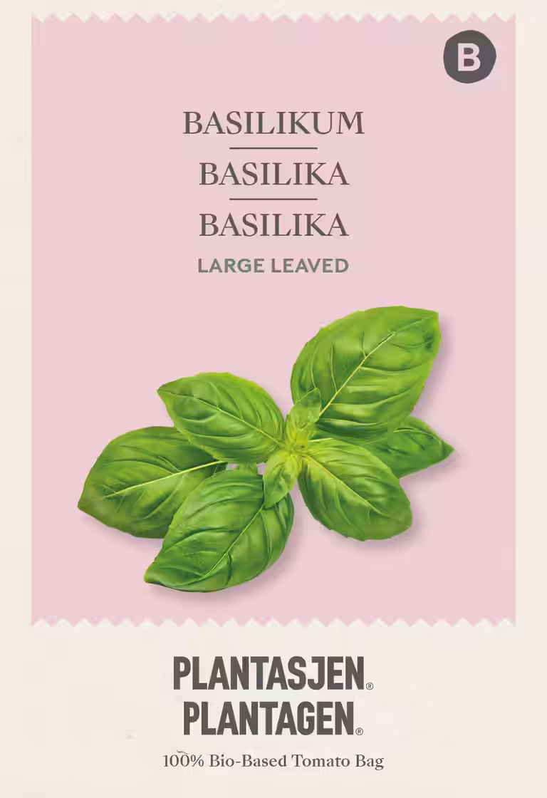 Basilikum 'Large leaved'