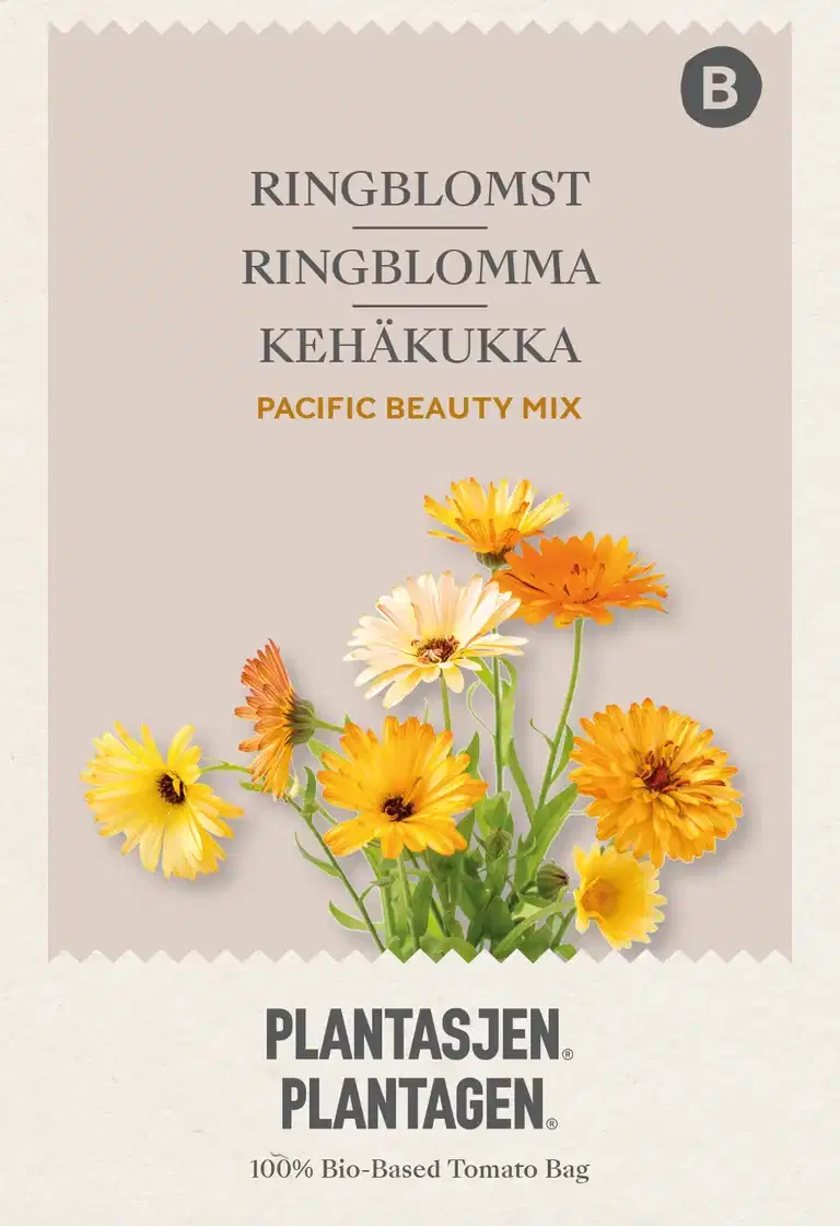 Ringblomst Pacific Beauty Mix