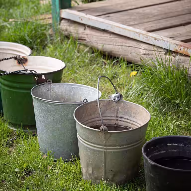 Vanningsforbud – slik får du plantene til å overleve 