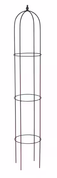 Espalier obelisk