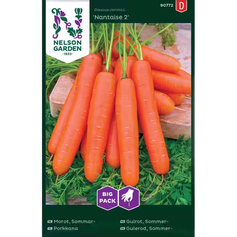 Sommergulrot 'Nantaise 2'