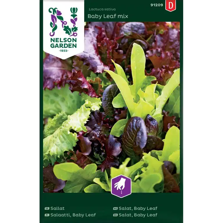 Salat, Baby Leaf mix