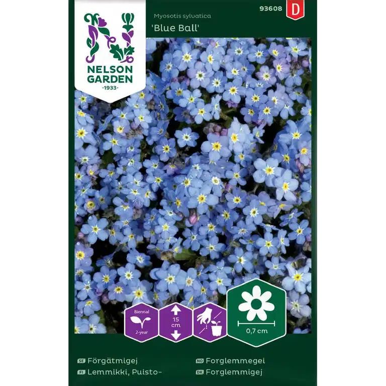 Forglemmegei 'Blue Ball'