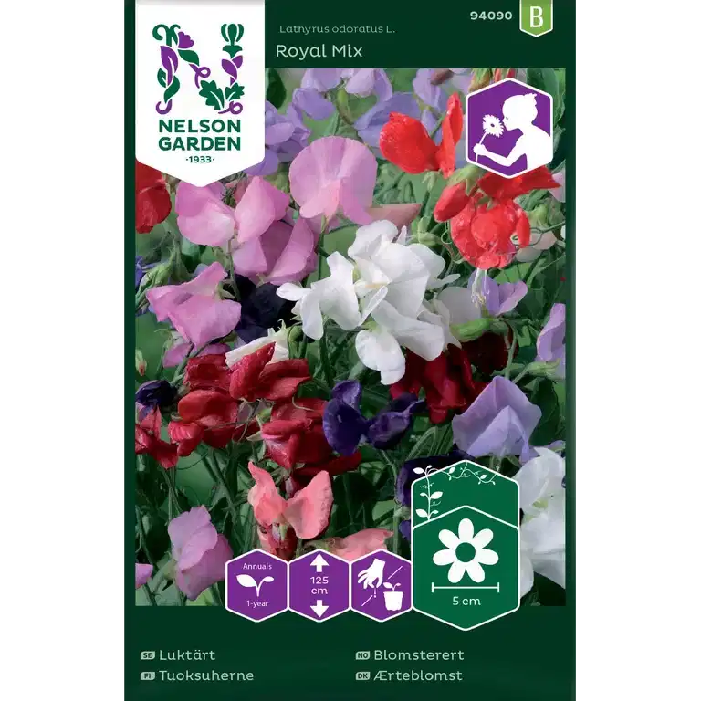 Blomsterert Royal Mix