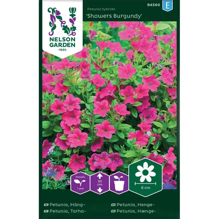 Hengepetunia 'Showers Burgundy'