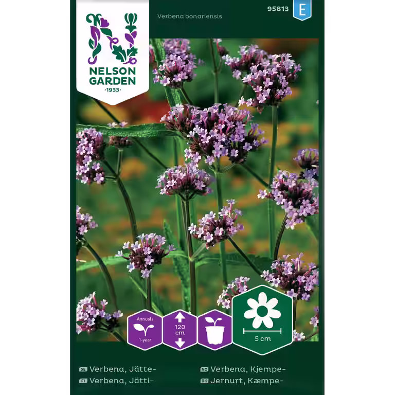 Verbena, Jätte-