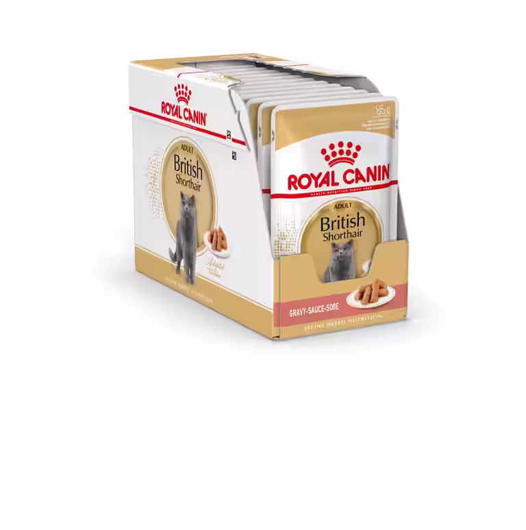 Royal Canin British shorthair Adult
