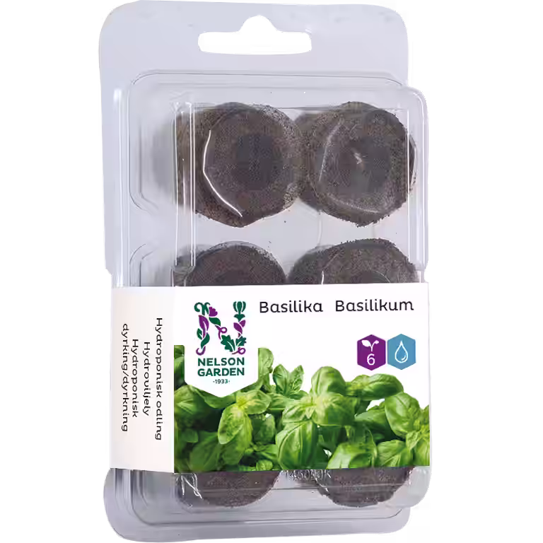 Seed plug Hydroponic - Basil