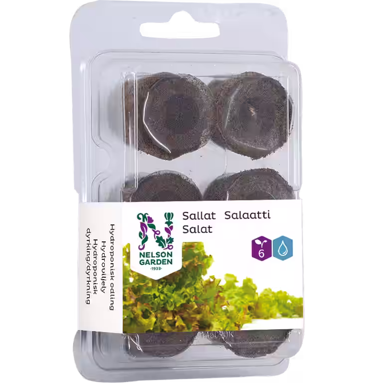 Seed plug Hydroponic - Lettuce
