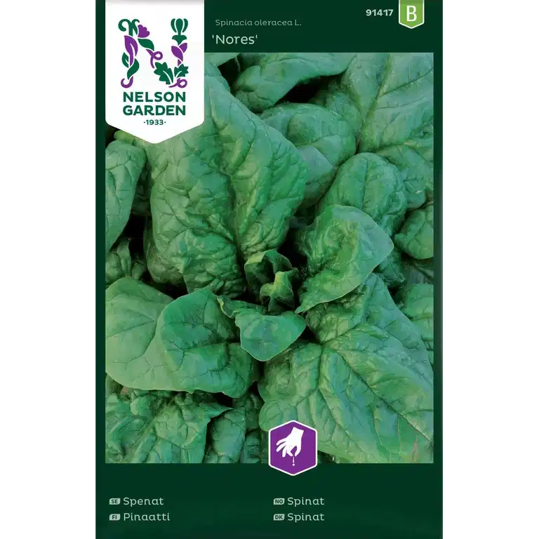 Spinat 'Nores'