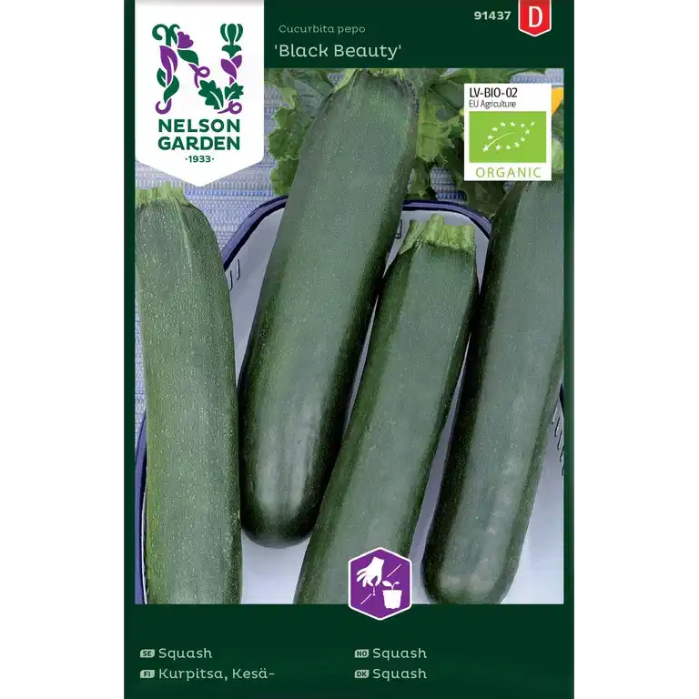 Squash 'Black Beauty'